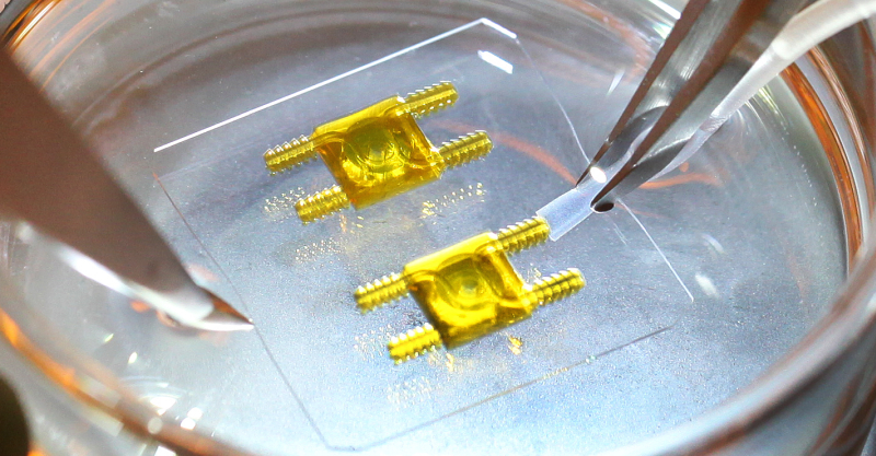 Multi-material 3D printed self-contained microfluidic device for chemical gradient formation 