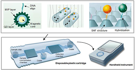 Figure 1.  The nanobiosensor includes a disposable plastic cartridge and a handheld instrument. A new class of nanoparticle-based receptor is developed to simultaneously possess magnetic, fluorescence, bioaffinity and barcoding properties. The sample concentration chamber contains a 3D structure. When the food sample flows through the sample concentration chamber, the target analytes are captured by the nanoparticles. The binding event induces an optical signal which will be detected by the SAF micro-lens array in the detection chamber.