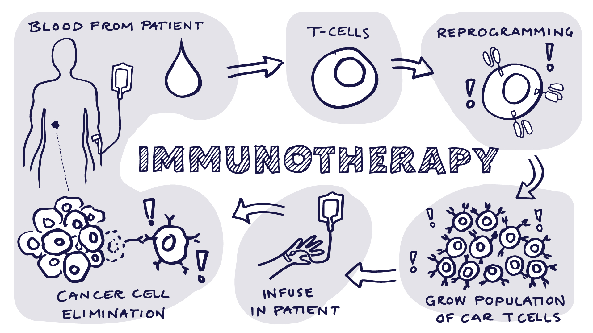 What is Immunotherapy?