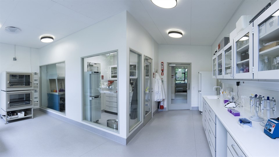 Dynamic Cell Lab Cell Lab
