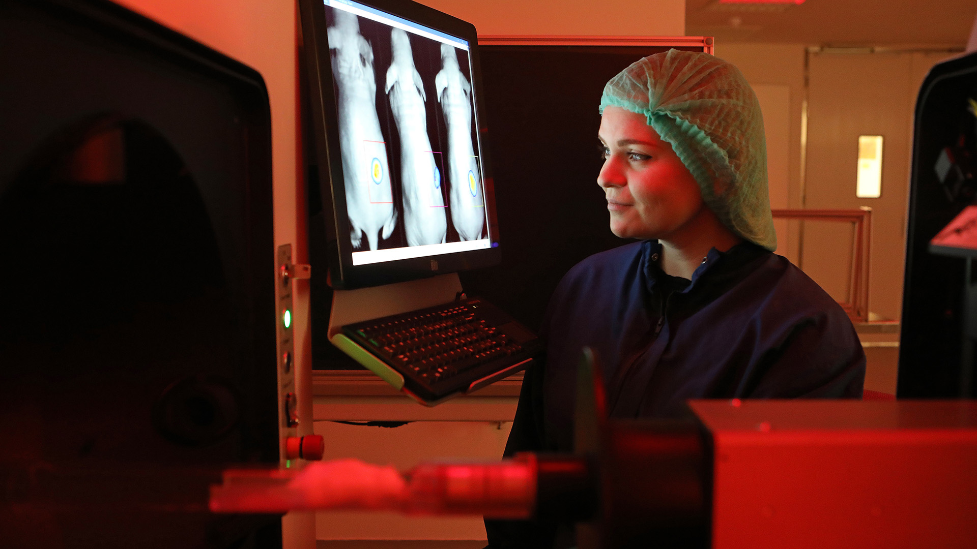Jesper Scheel ©DTU Health Tech Jesper Scheel