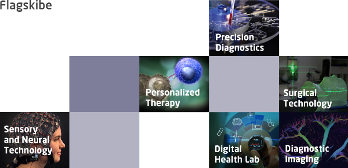 DTU Health Tech Flagships