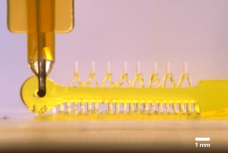 Strain of 3D printed multi-microactuator for 3D tissue constructs