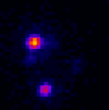nanofluidics and bioimaging